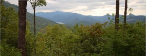 Mountains of Carolina Preserve Area